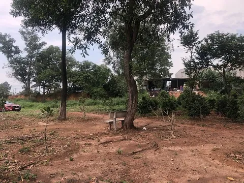 Đồng Nai: Đất của dân bỗng dưng biến thành đất công?