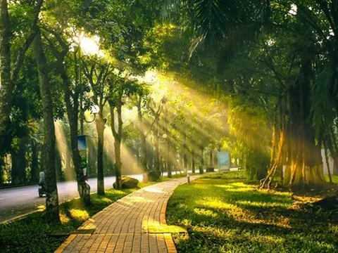 Dự báo thời tiết 3/9: Bắc Bộ nắng rát, chiều tối có mưa giông
