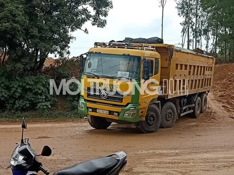 'Đất tặc' hoành hành, 'phớt lờ' chỉ đạo của UBND tỉnh Vĩnh Phúc