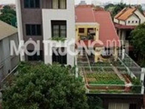 Nghệ An giải quyết vụ Giám đốc Sở Nội vụ bị 'tố' có thấu tình đạt lý?