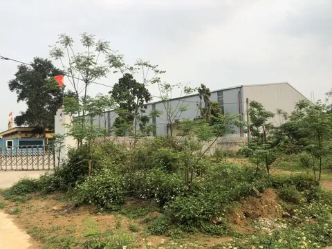 Thạch Thất: Nhà xưởng sai phép... 'mọc như nấm' trong khu dân cư