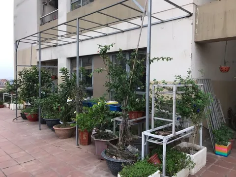 Sự thiếu quyết liệt của BQL tòa nhà HHB đã khiến vi phạm kéo dài?