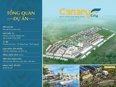 Luật sư phân tích các hành vi vi phạm tại dự án Canary Thái Nguyên
