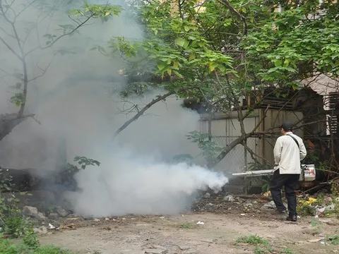 Hà Nội ghi nhận 155 bệnh nhân mắc sốt xuất huyết trong 5 tháng đầu năm, không có ca tử vong