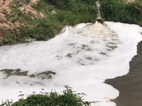 Bình Dương: Công ty Cổ phần Găng Việt 'bị tố' xả thải gây ô nhiễm