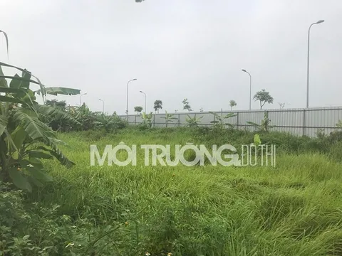 Đấu giá không xây dựng hạ tầng: Huyện Gia Lâm có 'nói dối' TP Hà Nội?