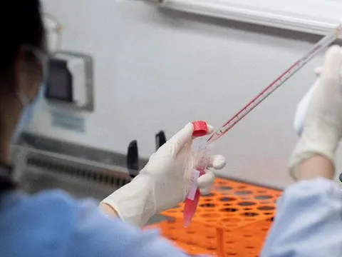 Virus cúm mới được phát hiện tại Trung Quốc tiềm ẩn gây đại dịch