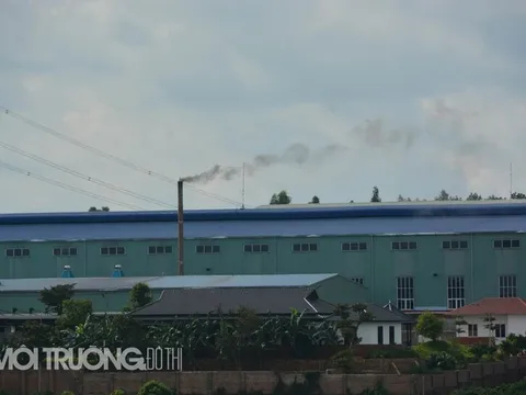 Vụ CT Ia Pacco xả thải: Sở TN&MT Gia Lai vòng vo khó hiểu