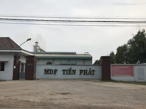 Bình Dương: MDF Tiến Phát bị dân 'tố' gây ô nhiễm môi trường