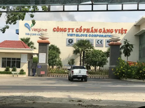 Bình Dương: Hiểm họa môi trường với góc nhìn từ công ty Găng Việt