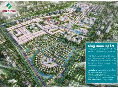 Sai phạm trong đấu giá đất tại Long An, sao không xử lý nghiêm!?