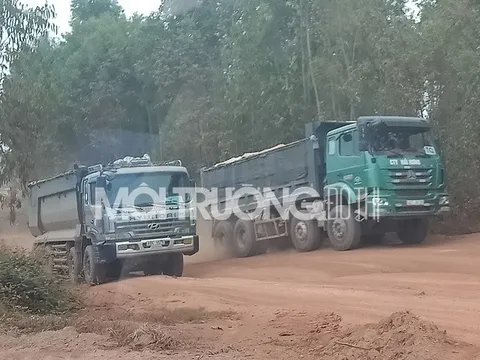 Vĩnh Phúc: 'Rầm rộ' những 'Binh đoàn' khai thác đất