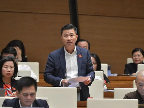 ĐBQH đề xuất triển khai mô hình đường sắt đô thị tư nhân như Tokyo