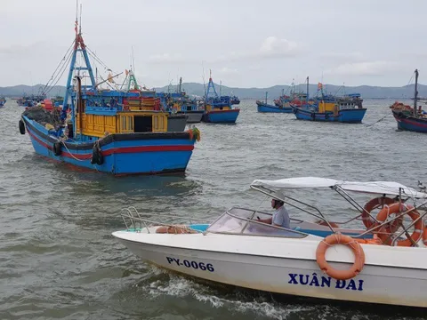 Phú Yên hoàn thành sơ tán dân trước 18 giờ hôm nay 09/11 đề phòng ảnh hưởng của bão số 12