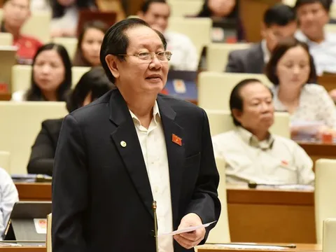 Sắp không còn cảnh ‘thi nhau đi học’ chứng chỉ ngoại ngữ, tin học