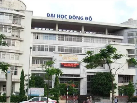 Cơ sở nào để Đại học Đông Đô cấp hơn 600 bằng giả?