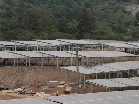 Đắk Lắk: Xử lý nghiêm các sai phạm trong đầu tư lắp đặt điện mặt trời