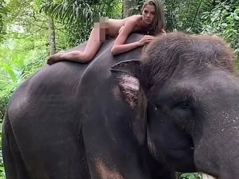 Nữ người mẫu gây tranh cãi với bức ảnh khỏa thân cưỡi voi