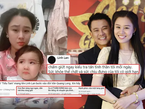 Linh Lan bức xúc vì bị Youtuber chà đạp nhân phẩm: Hãm hại mẹ góa con côi là quá tàn nhẫn?