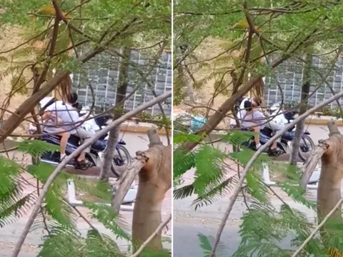 Ngao ngán cảnh cặp đôi học sinh ngả ngớn vào lòng nhau, thể hiện những hành động thân mật giữa đường