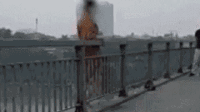 Cô gái trẻ đứng vắt vẻo trên thành cầu định tự tử, người dân khuyên can 1 câu nghe mà xót xa