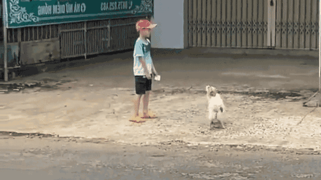 Gặp chó dữ trên đường, bé trai phản ứng khiến CĐM gật gù: Có bóng hình tôi ở đó