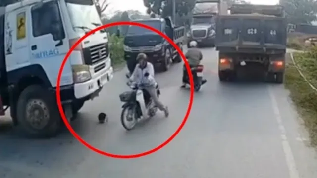 Clip: Người đàn ông đi xe máy suýt chui gầm ô tô vì nhặt mũ bảo hiểm