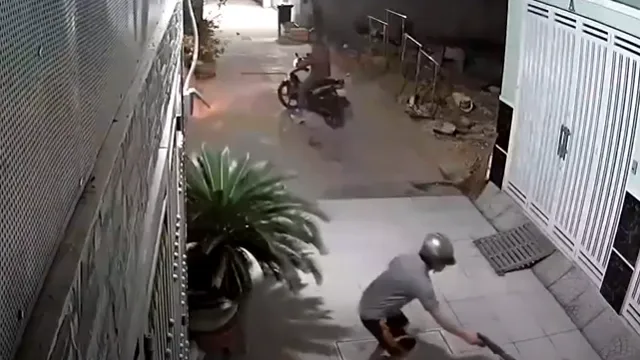 CLIP: 2 gã 'cẩu tặc' quyết đuổi cùng giết tận chú chó lúc nửa đêm, dùng súng điện bắn con vật đến bất động