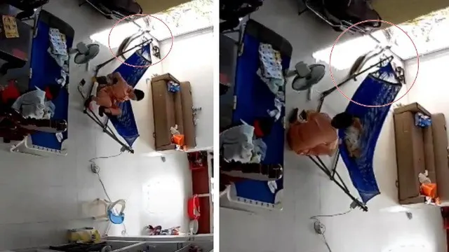 Đang đưa võng cho con ngủ thì phát hiện có con rắn to đùng nằm bên dưới, người phụ nữ nhanh chóng hành động khiến ai nấy thót tim
