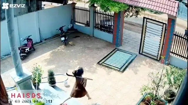 Vợ bầu nhảy qua 3 bậc thềm, cầm rựa ứng cứu chồng khi trộm vào nhà: 'Mình quên luôn là đang có bầu'